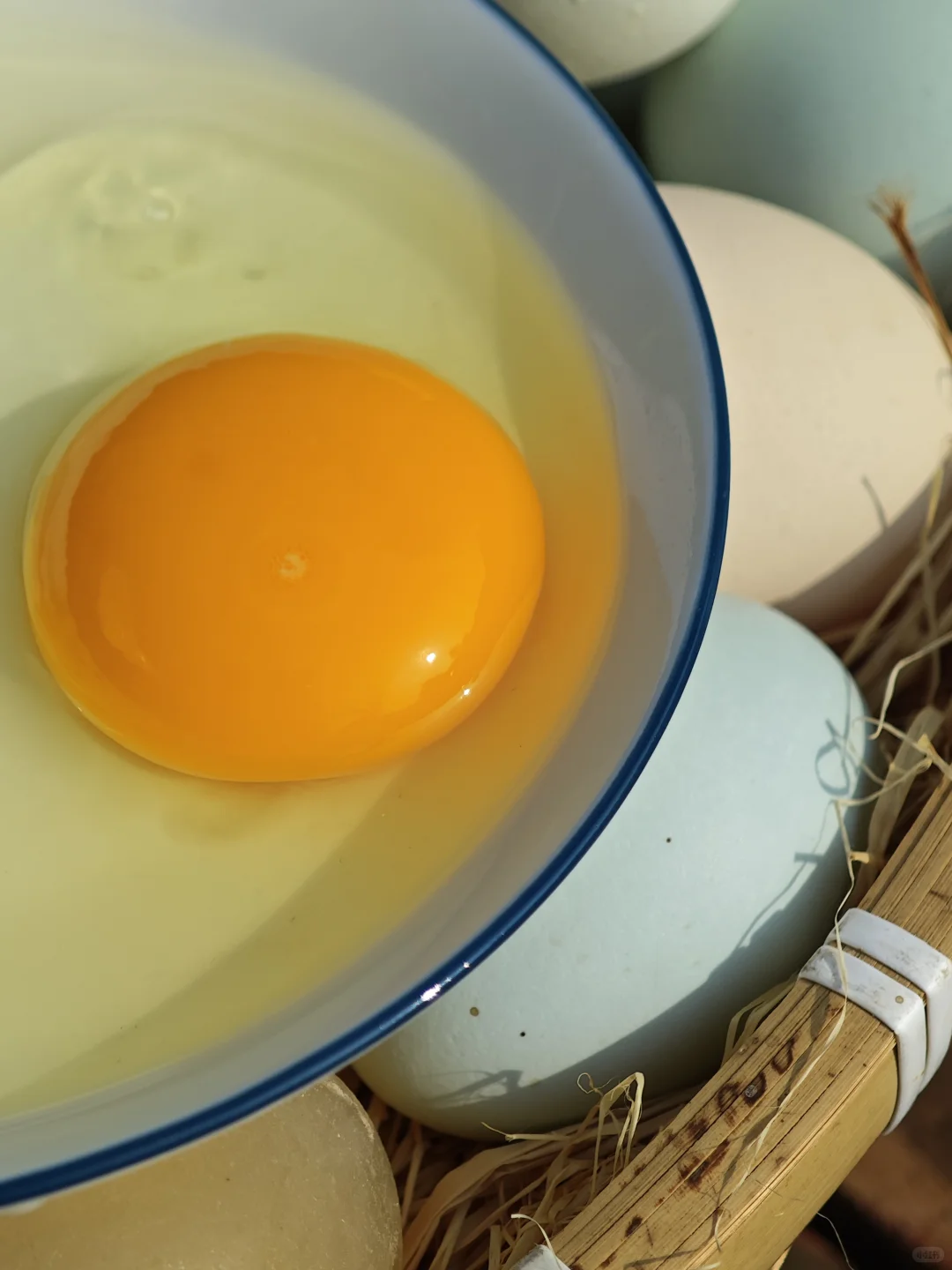 哪个才是“土鸡蛋”,你真的会区分吗?