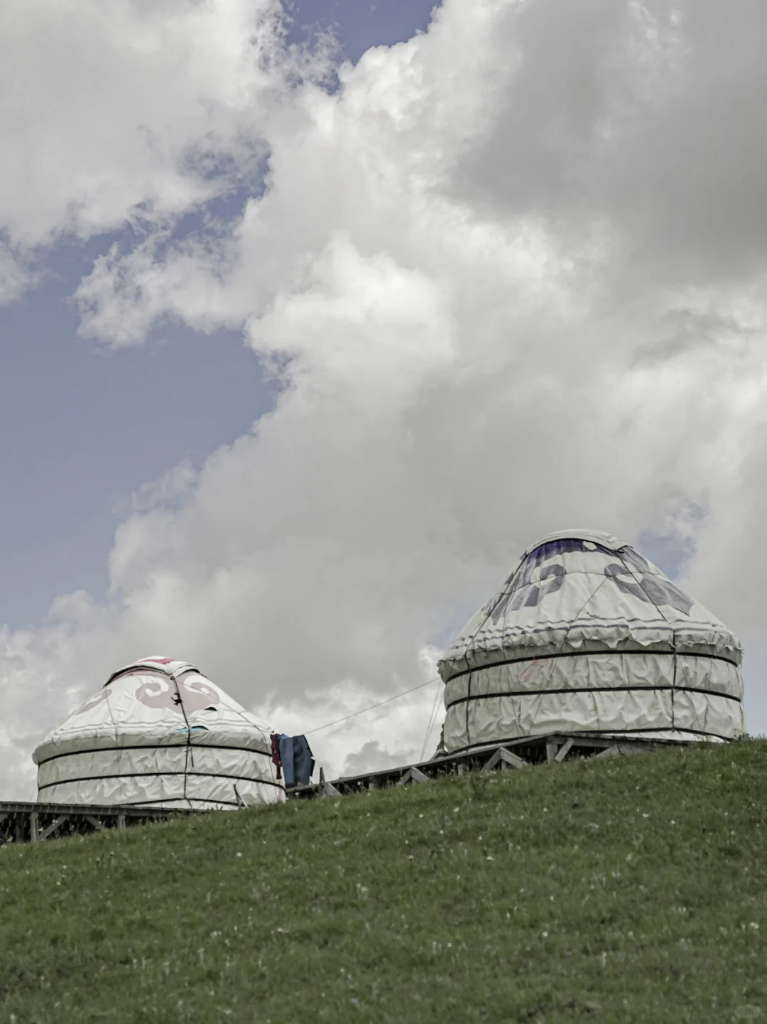 ? 摄影 | 草原偶遇的赶羊人