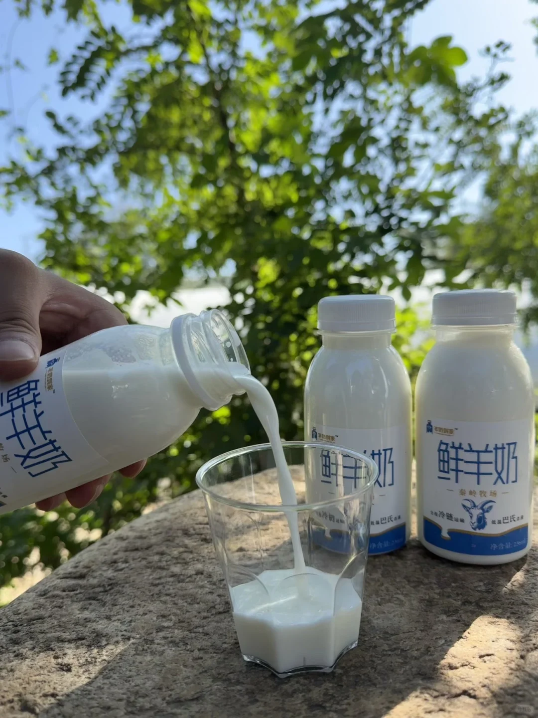 为什么羊奶比牛奶贵那么多?