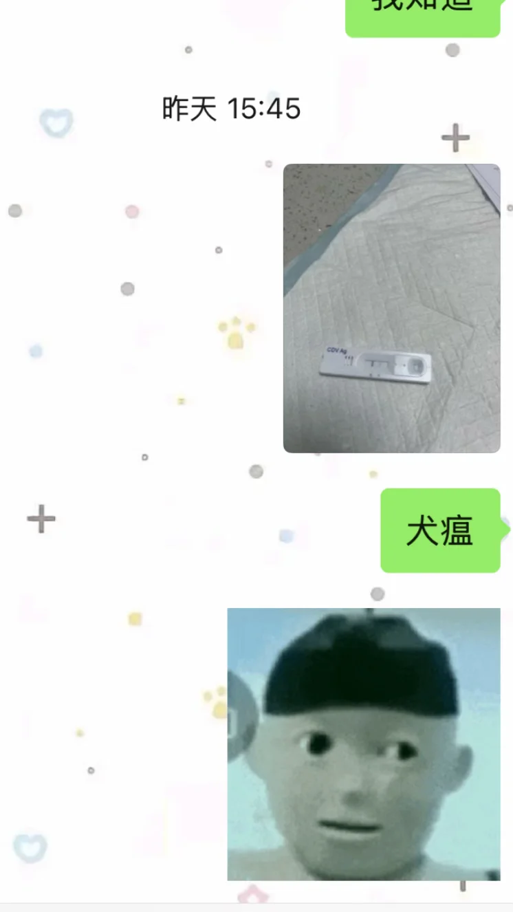 苏州避雷黑心宠物店!!!