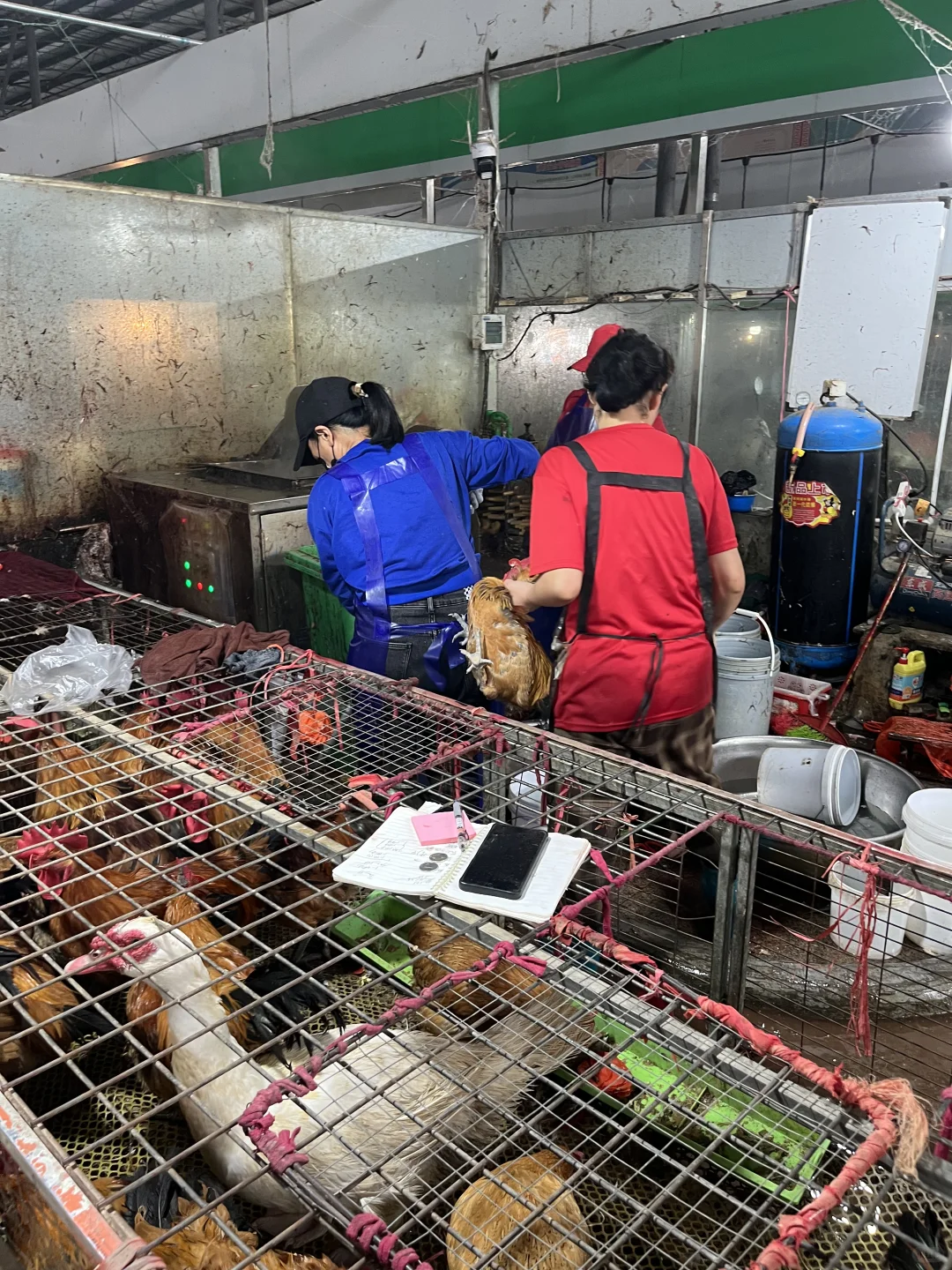 良心的店,一家女性撑起来的店