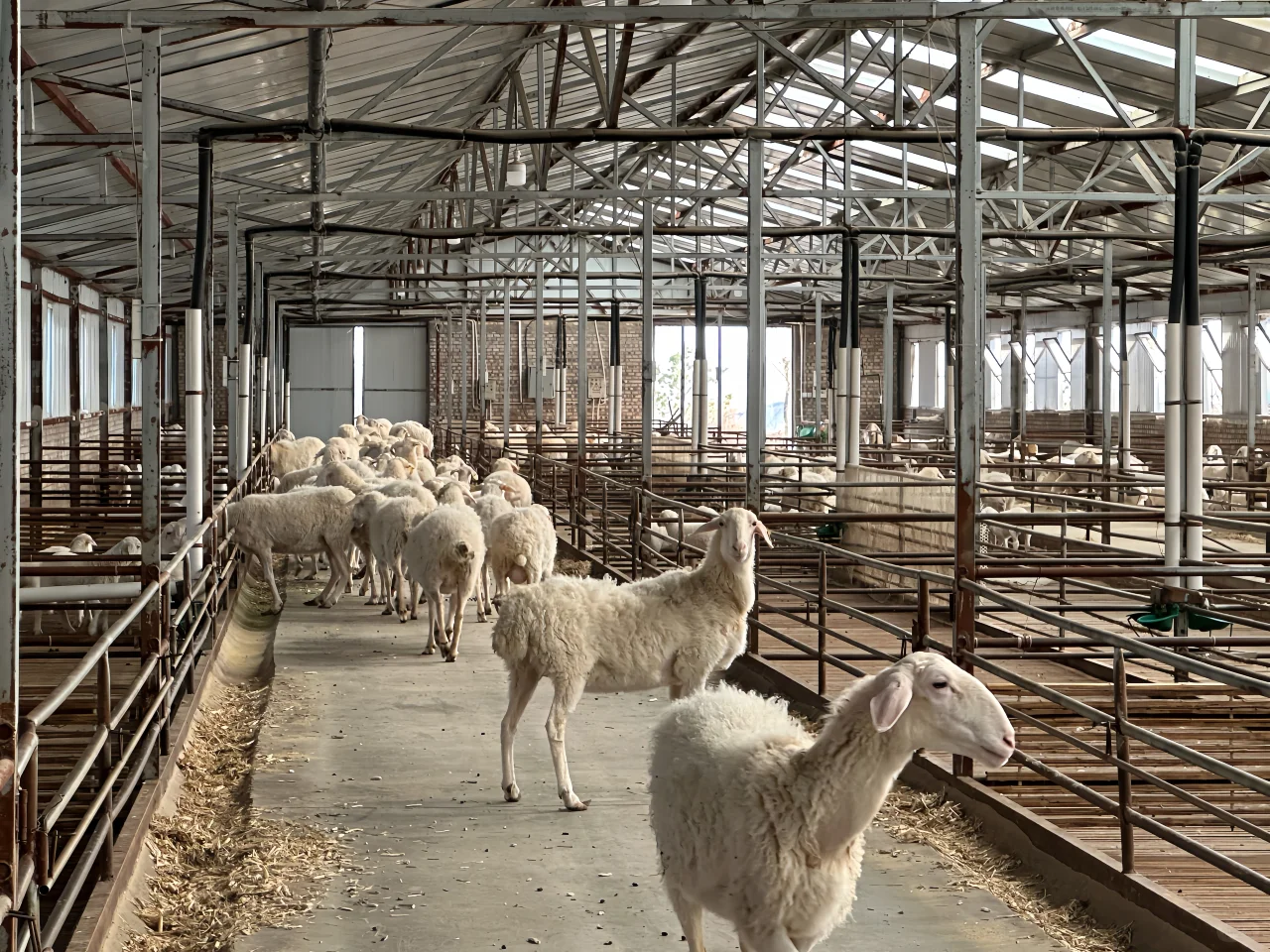 �һ��������ʫ�⡪�һ���