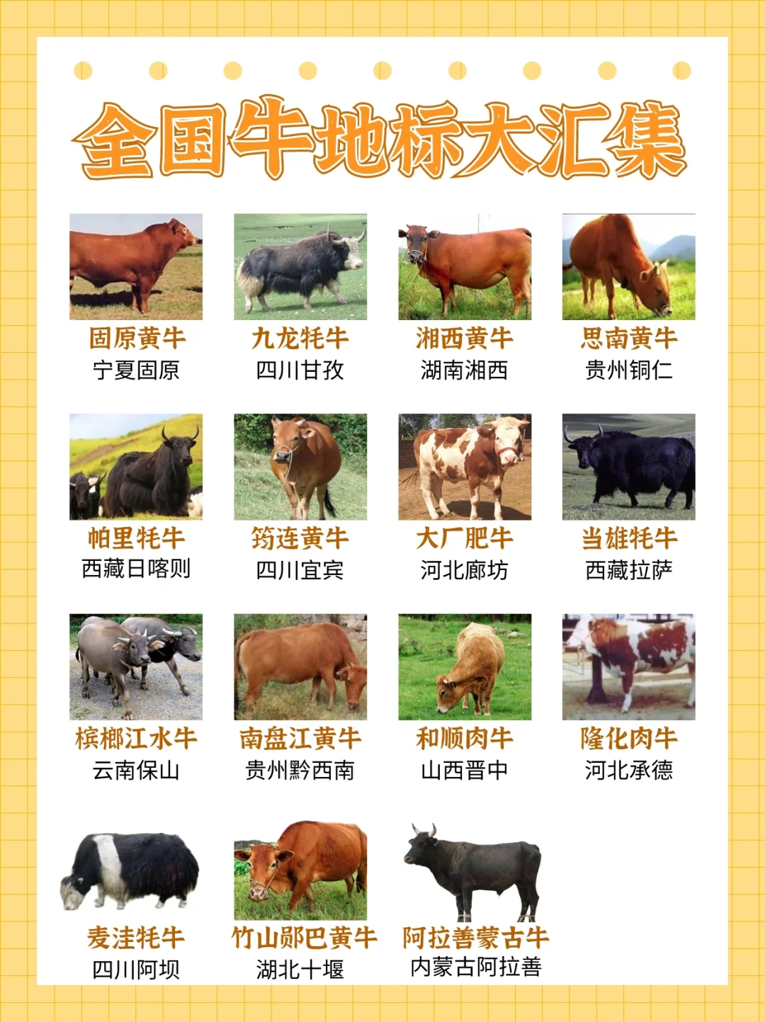 ҹţر꼰Ҫֳ㼯㻹֪