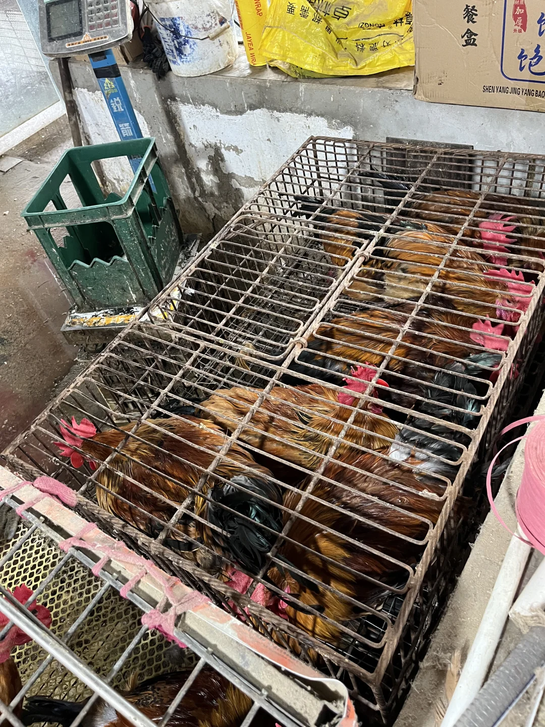 良心的店,一家女性撑起来的店