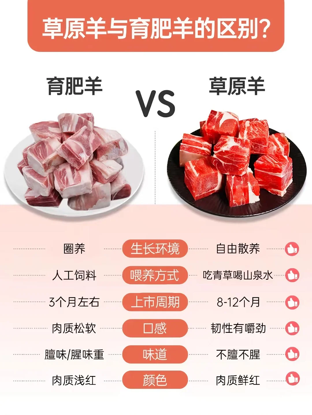 草原(地)羊和育肥羊为什么价格相差那么大