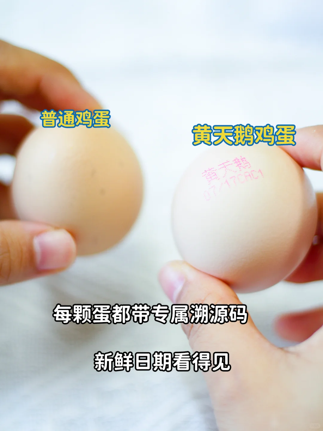 9.9元/盒还加赠便当盒??这真的手慢无!