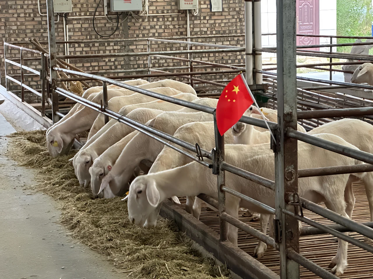 �һ��������ʫ�⡪�һ���