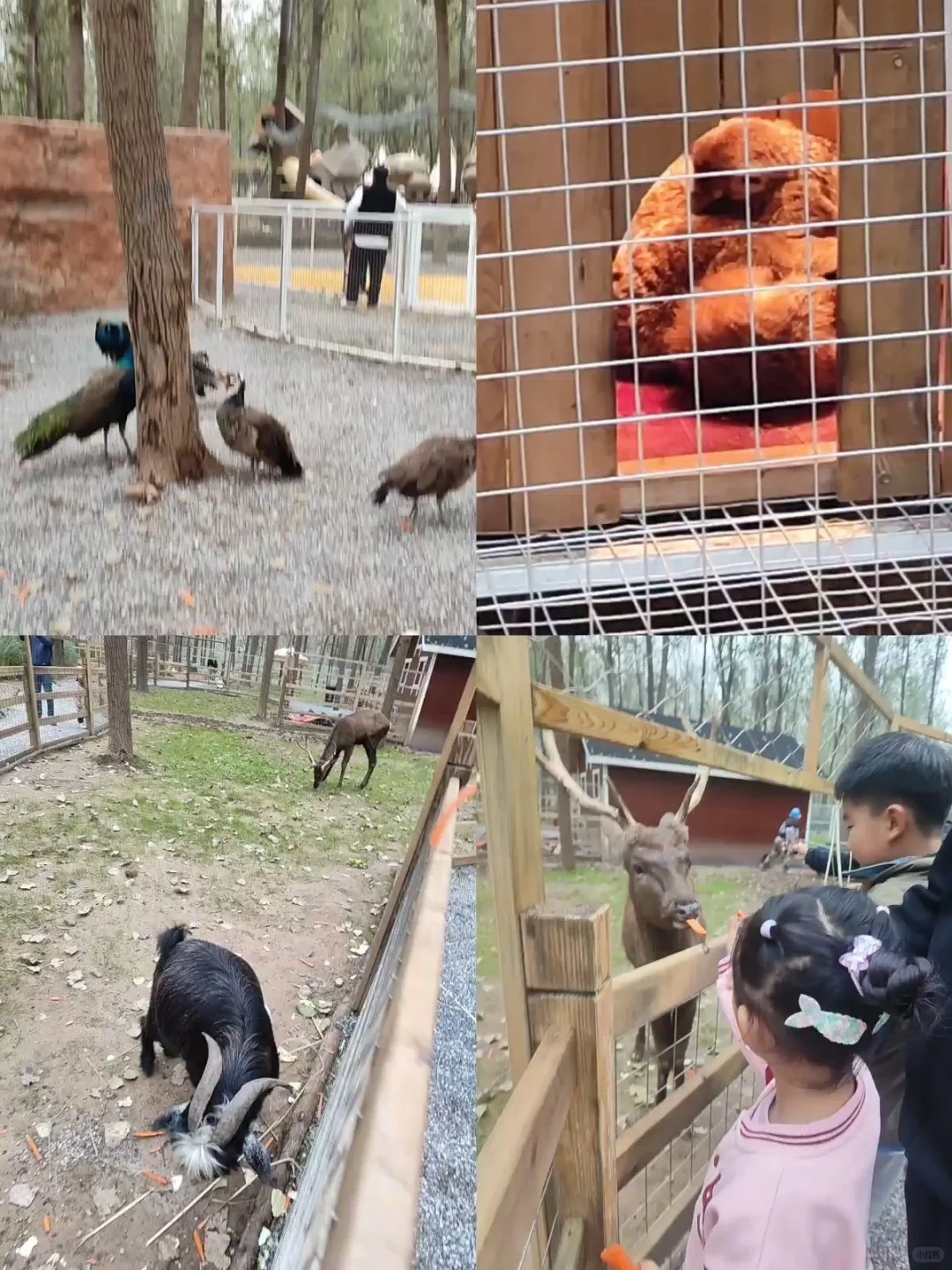 西安新开!53000㎡!无动力+Ai