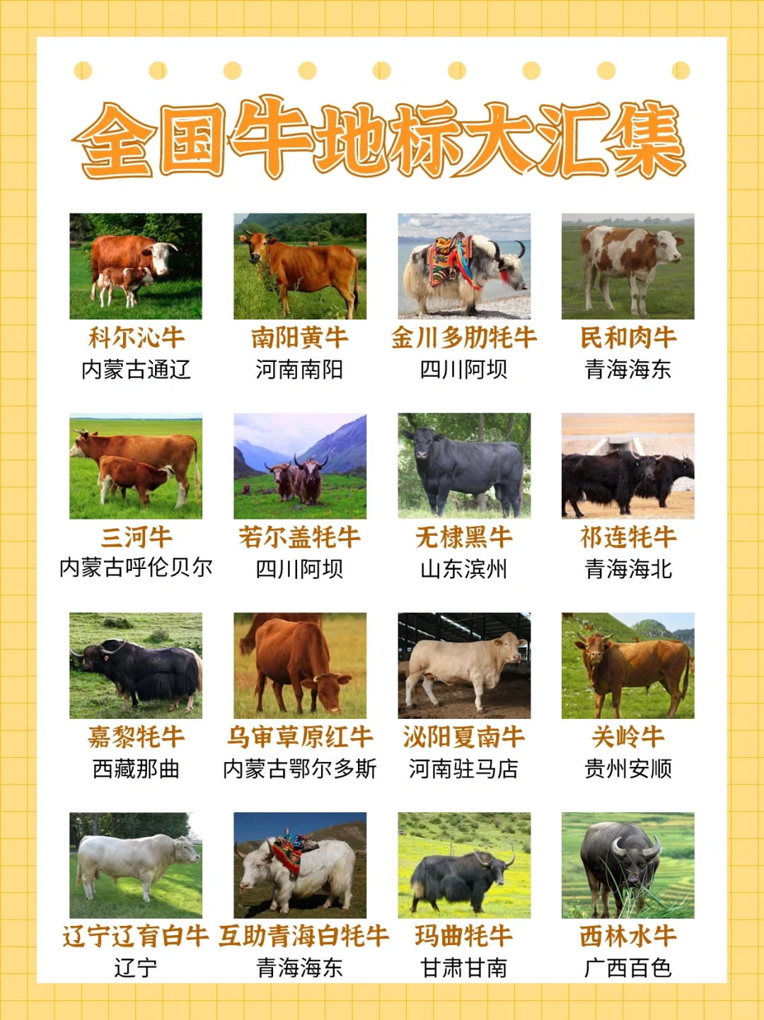 ҹţر꼰Ҫֳ㼯㻹֪