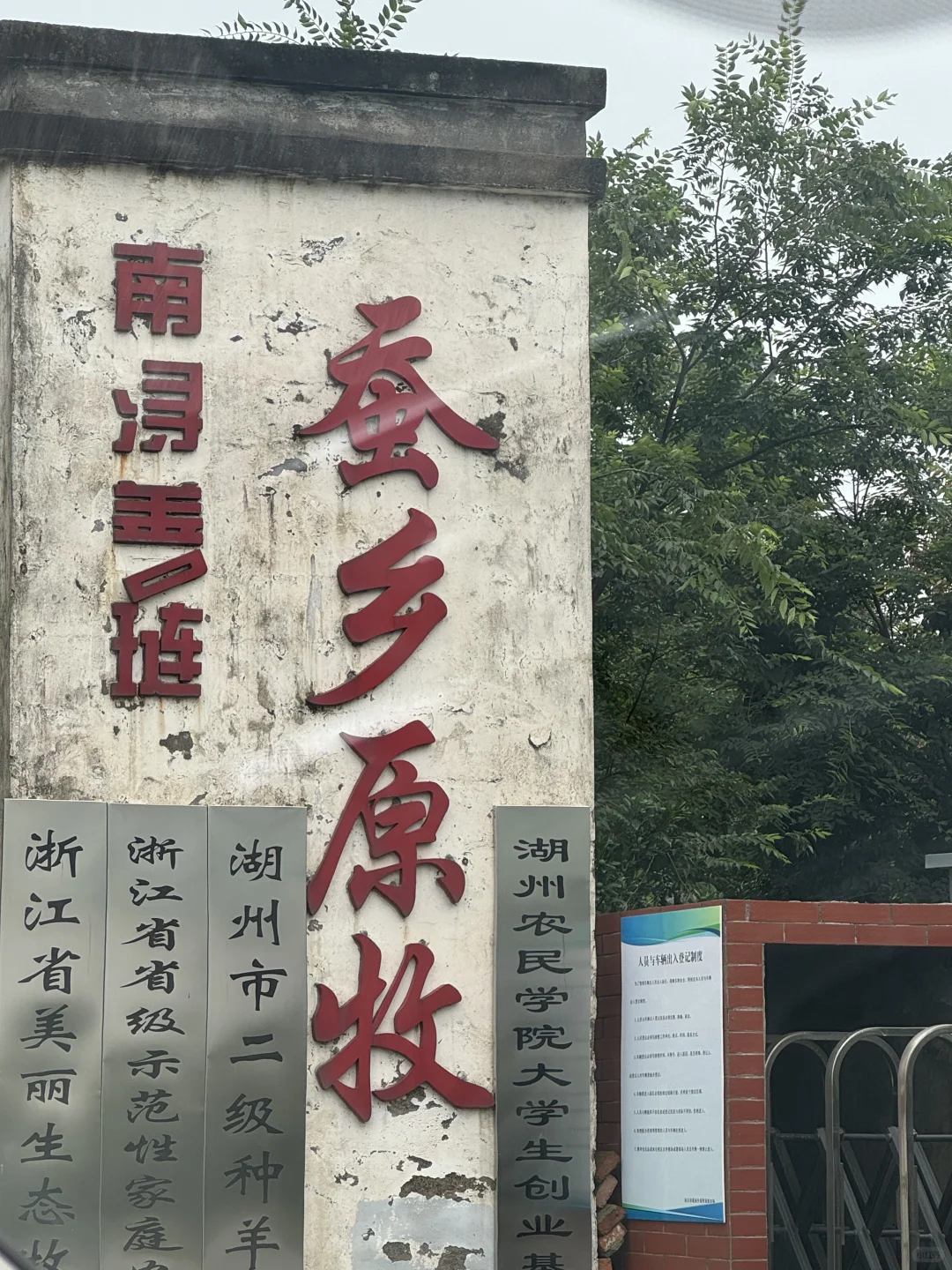 乡村振兴大赛 | “湖笔小传人”的传承日记4