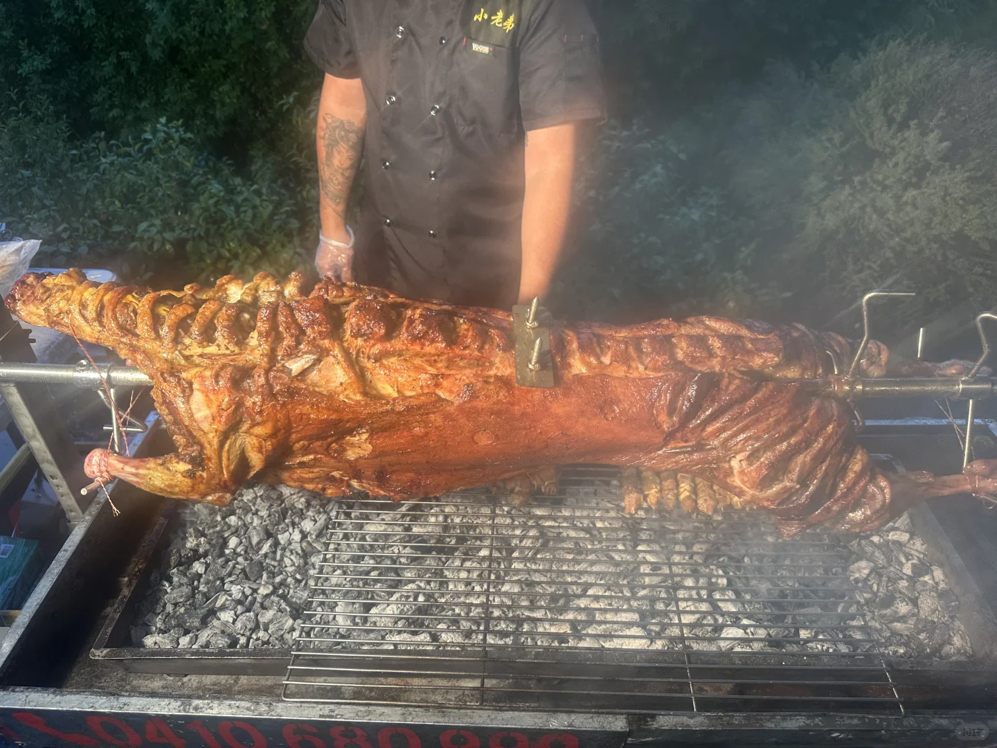 ??īȫ?3xxһֻ򣬼Լ??