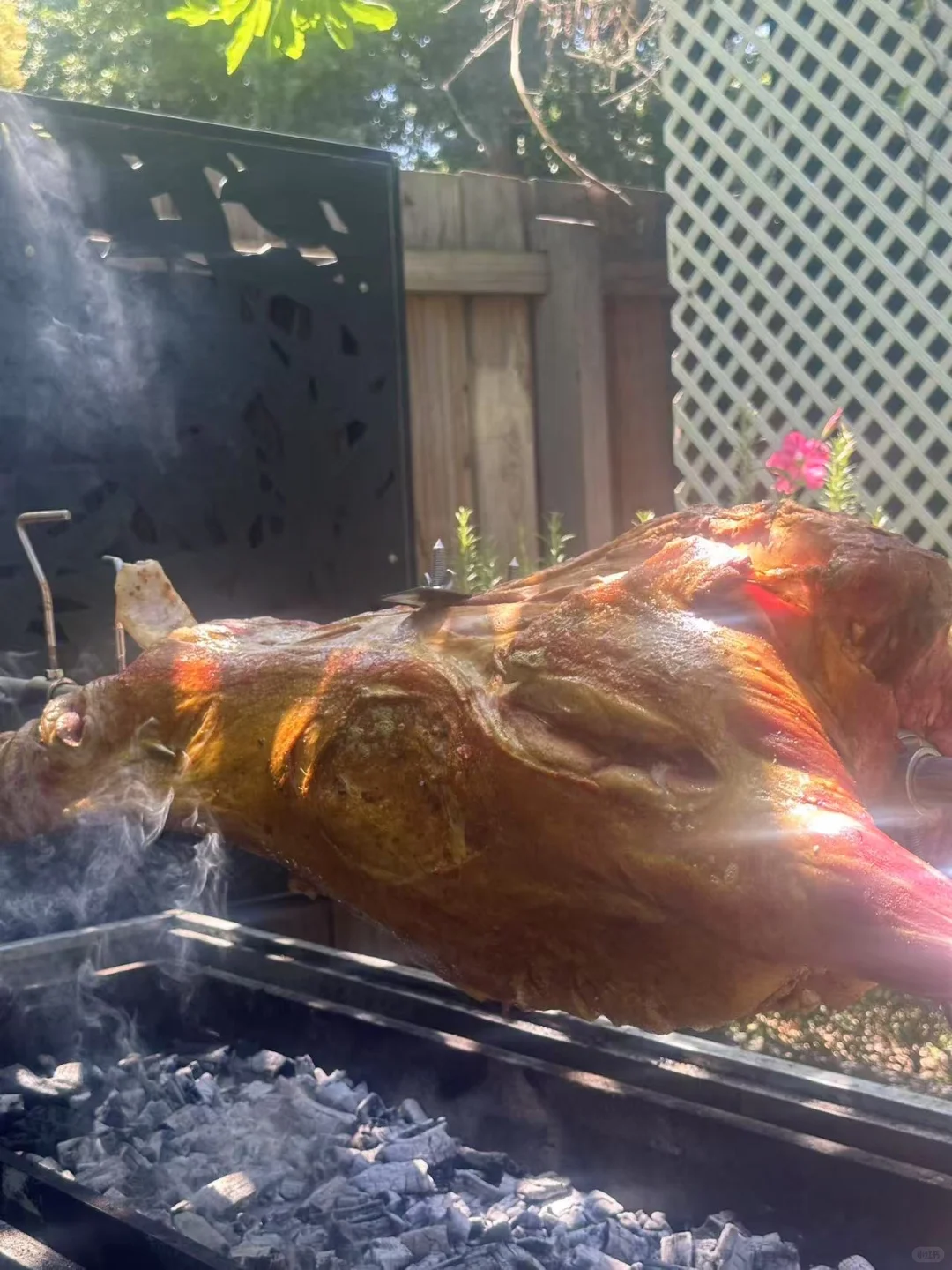 ??īȫ?3xxһֻ򣬼Լ??