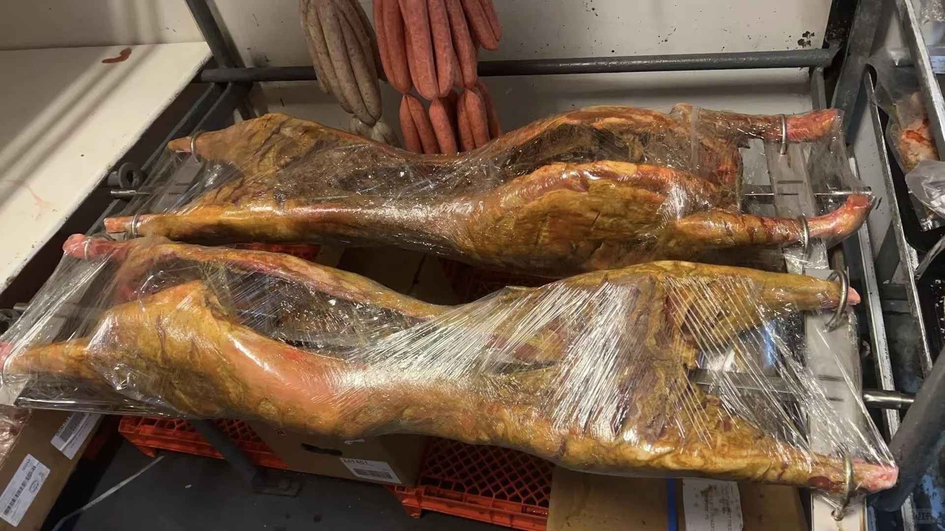 ??īȫ?3xxһֻ򣬼Լ??