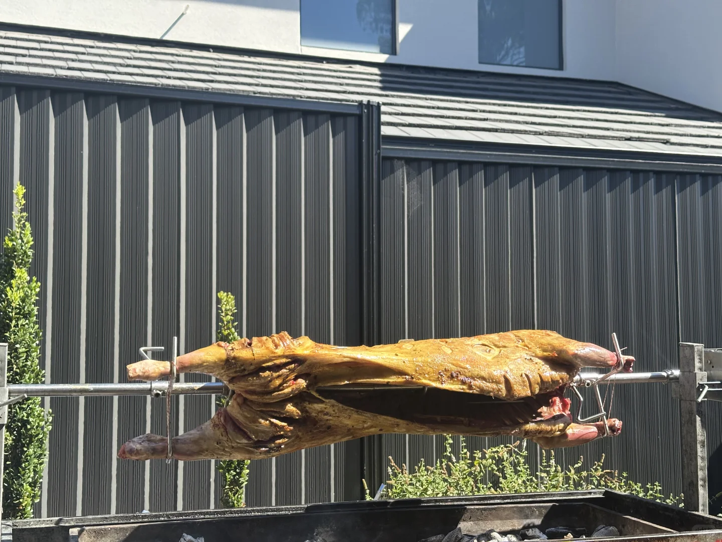 ??īȫ?3xxһֻ򣬼Լ??