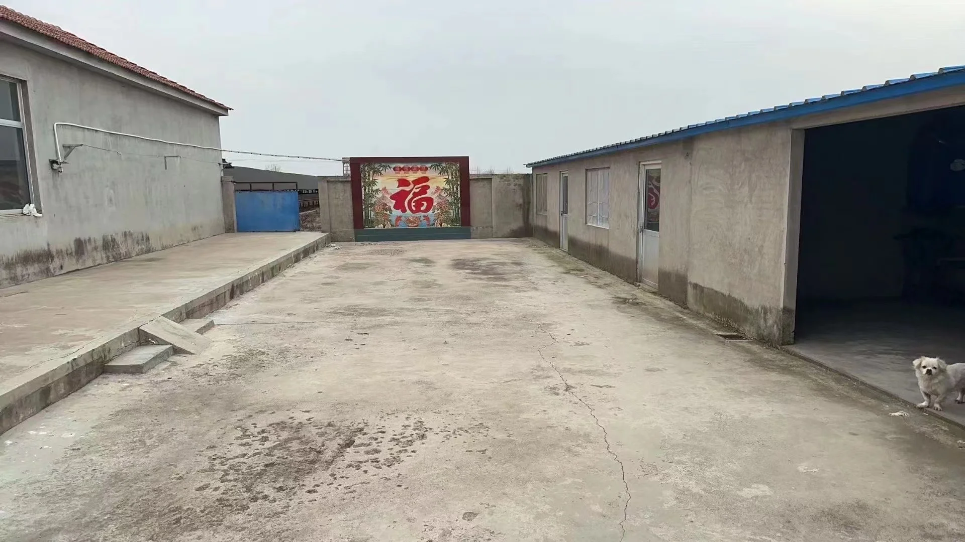 ?5亩多宝藏养殖场转让|多物种养殖+全设施+