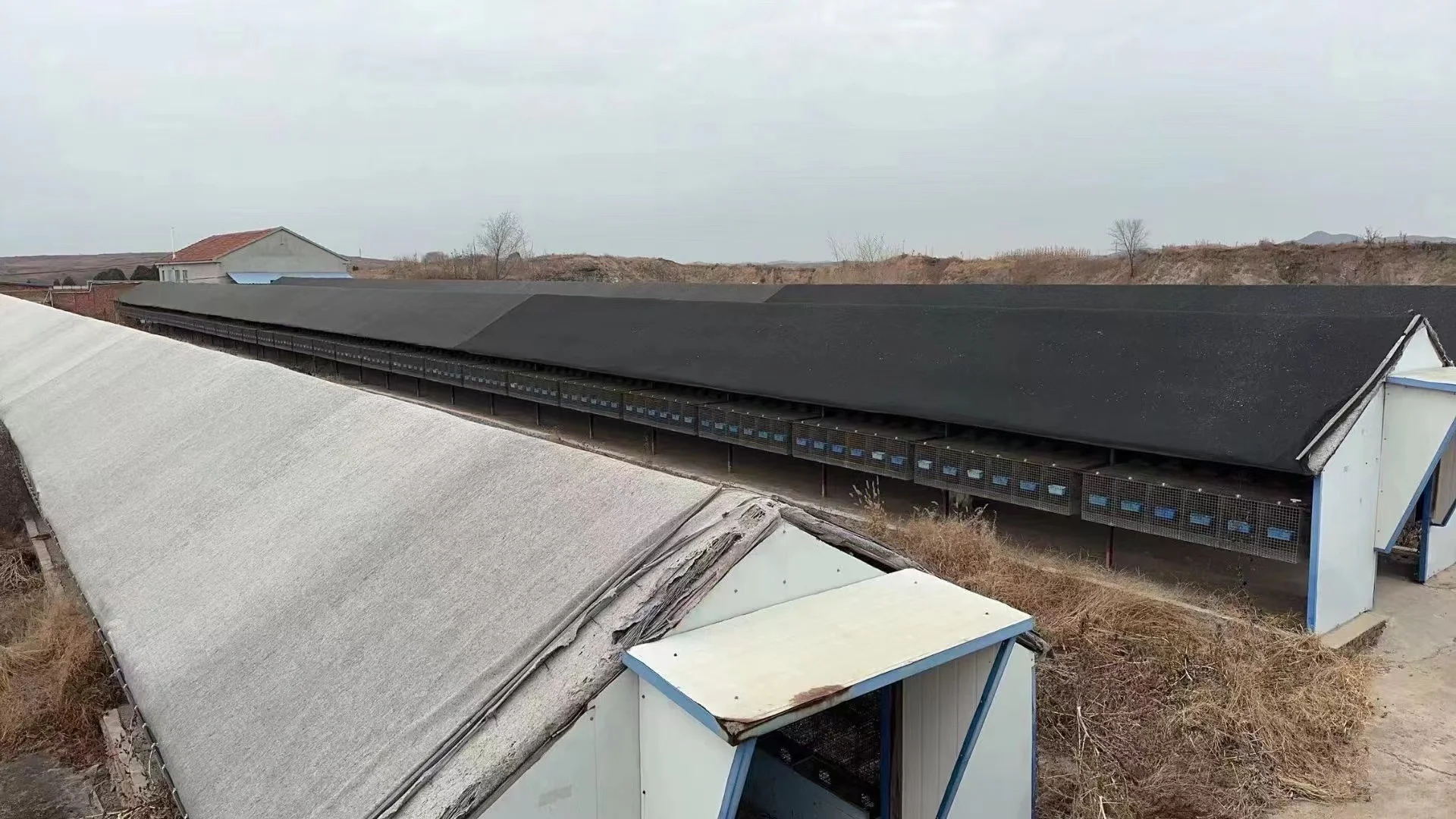 ?5亩多宝藏养殖场转让|多物种养殖+全设施+