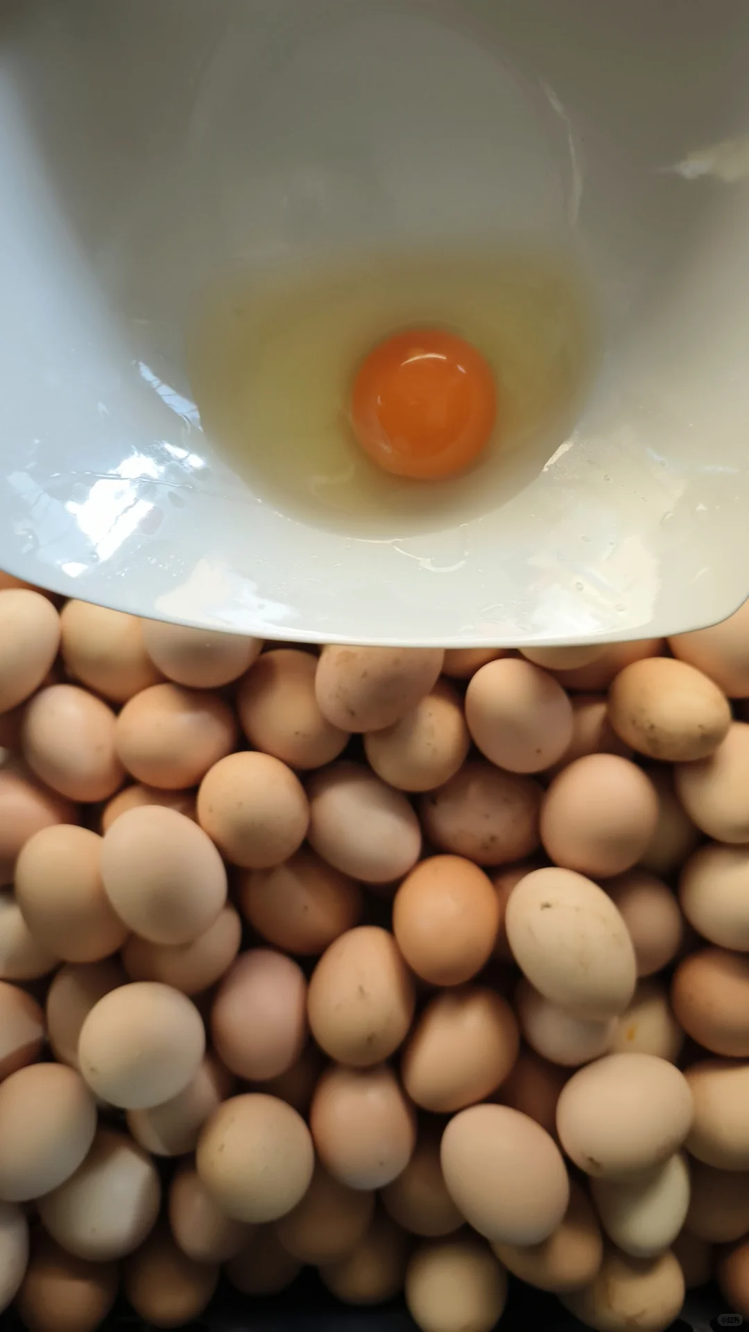 自从上次把婆婆家的鸭蛋卖完这鸡蛋又来了