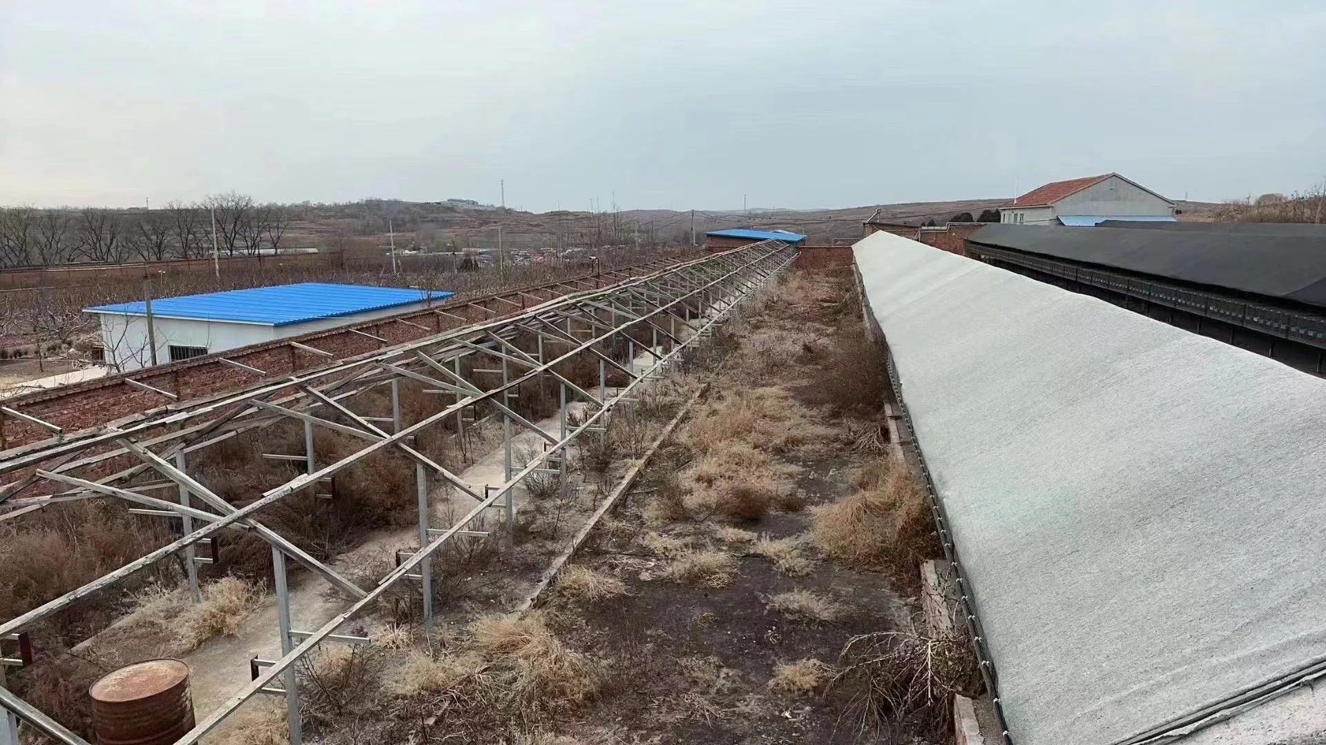 ?5亩多宝藏养殖场转让|多物种养殖+全设施+