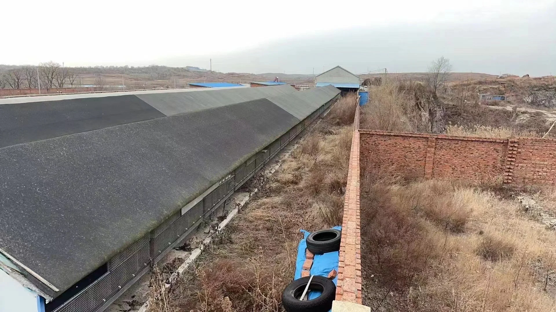 ?5亩多宝藏养殖场转让|多物种养殖+全设施+