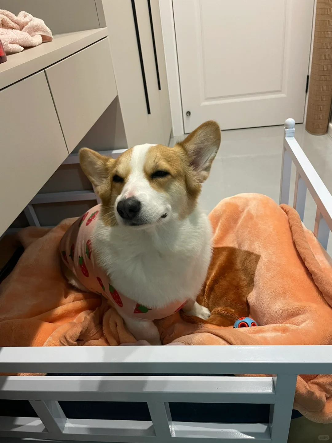 ����������öԱ�