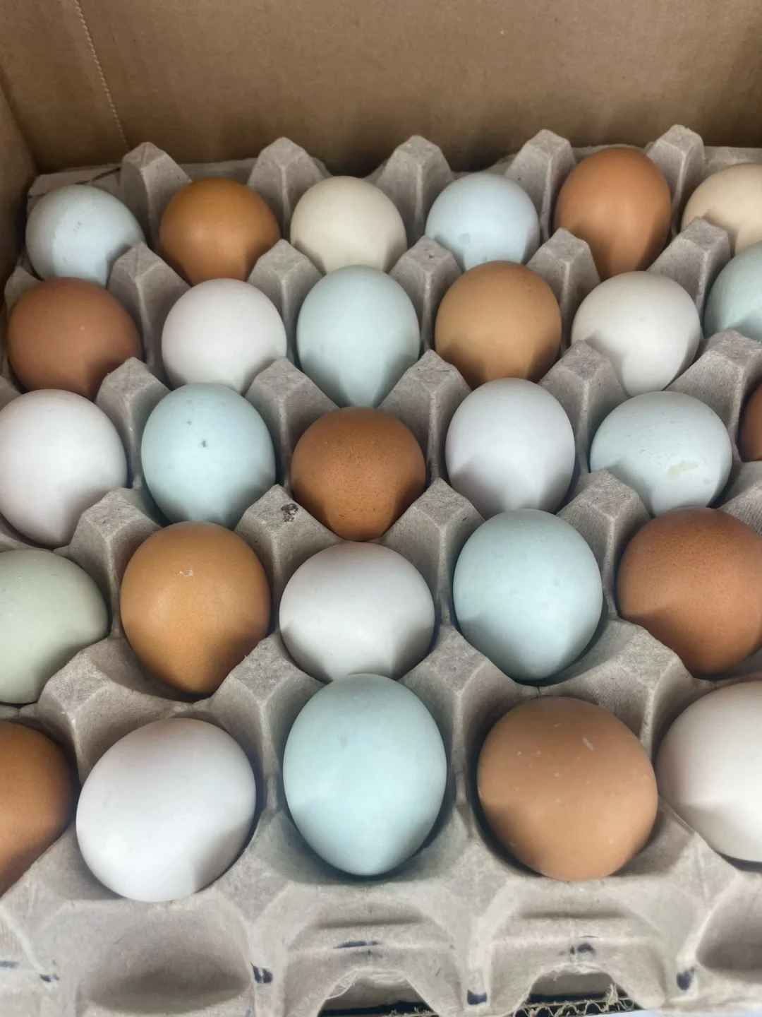 Tustinɣؼ$2.99 30ֻ?