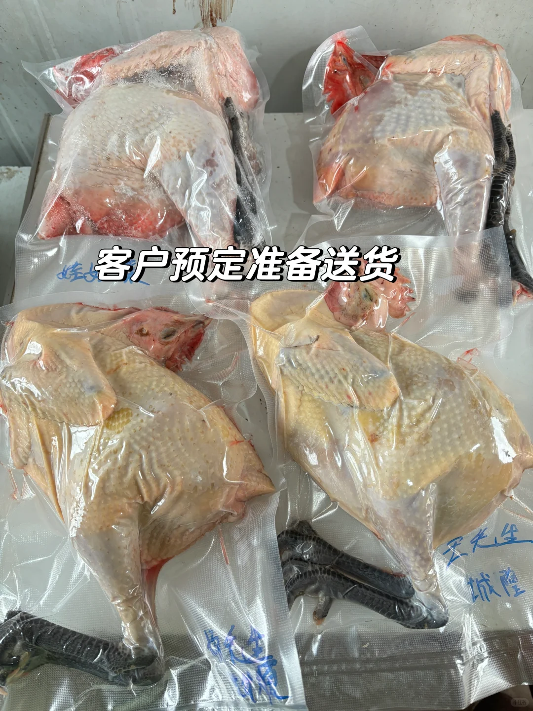 合肥/96年女生大厂离职拒绝焦虑回村养鸡