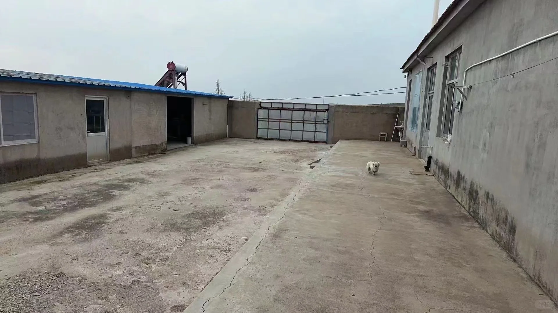 ?5亩多宝藏养殖场转让|多物种养殖+全设施+