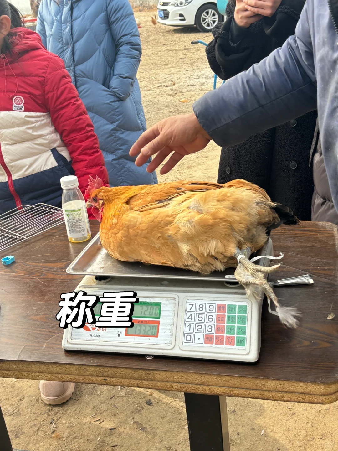 合肥/96年女生大厂离职拒绝焦虑回村养鸡