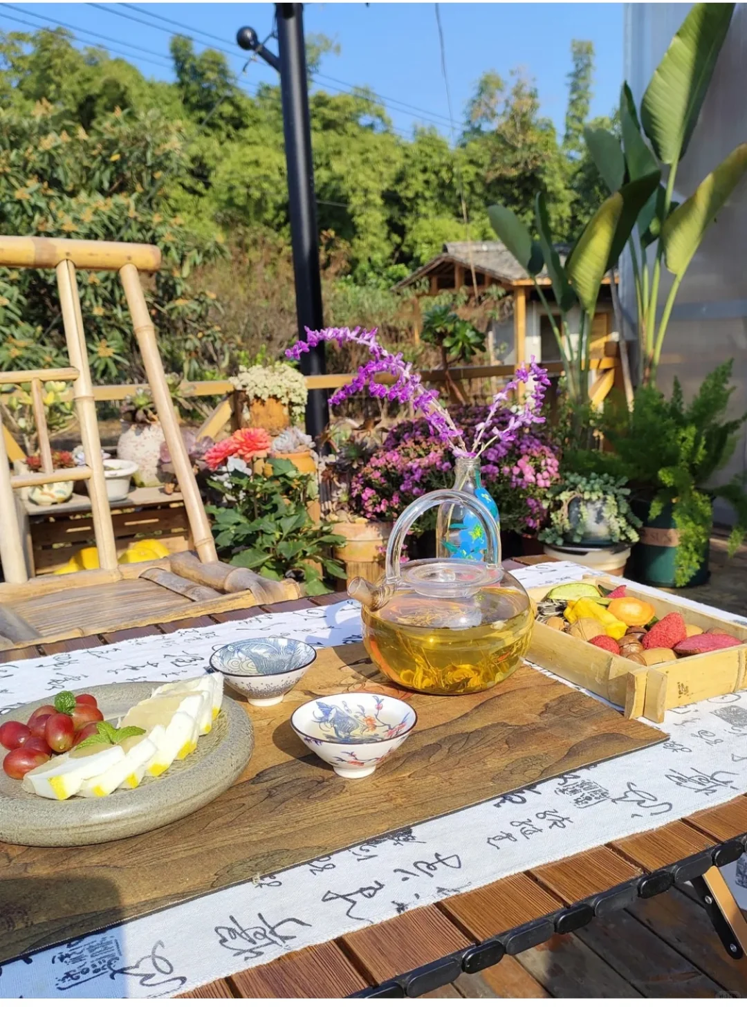 投资50w的农场颗粒无收,支撑我的只有……