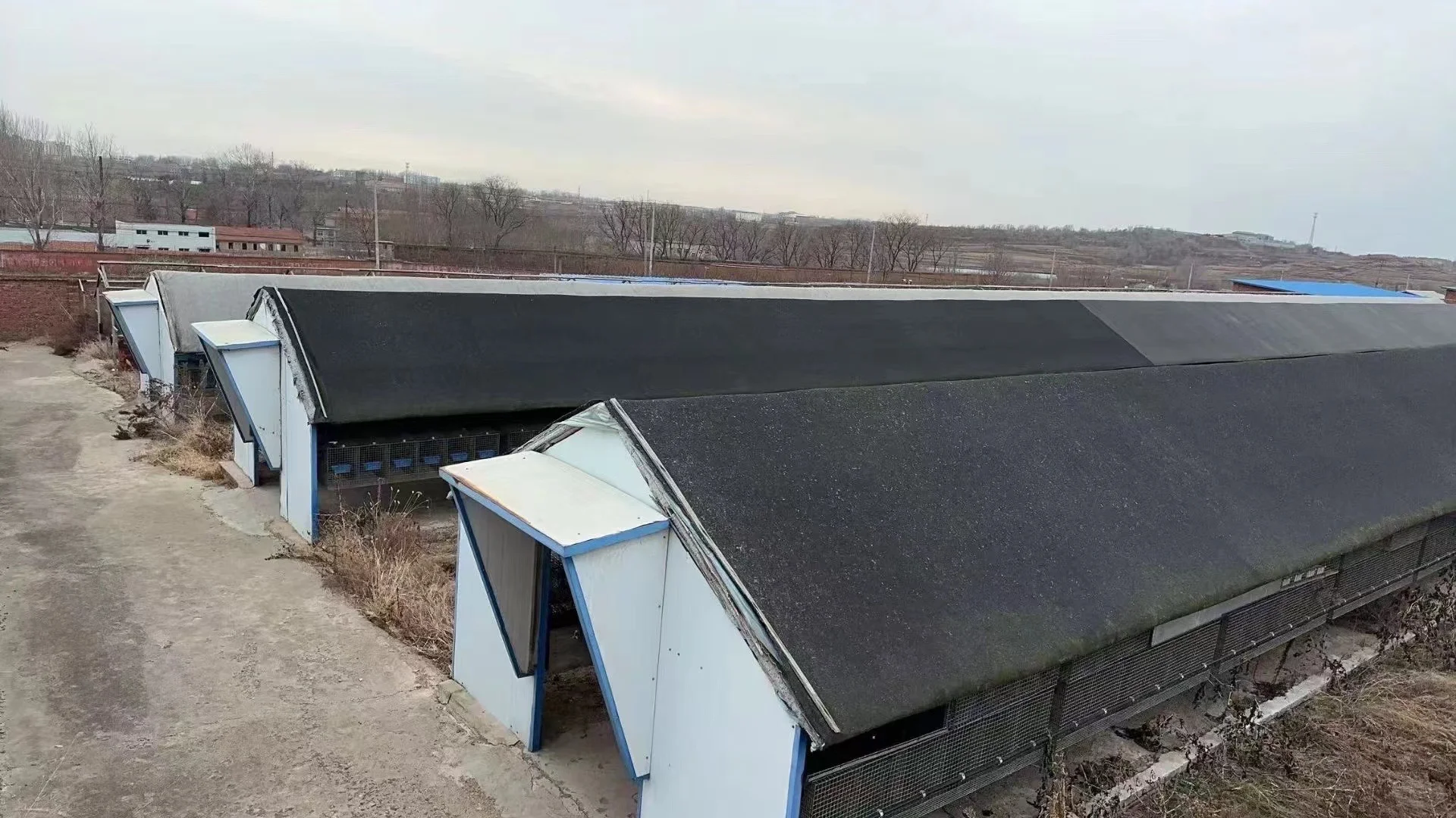 ?5亩多宝藏养殖场转让|多物种养殖+全设施+