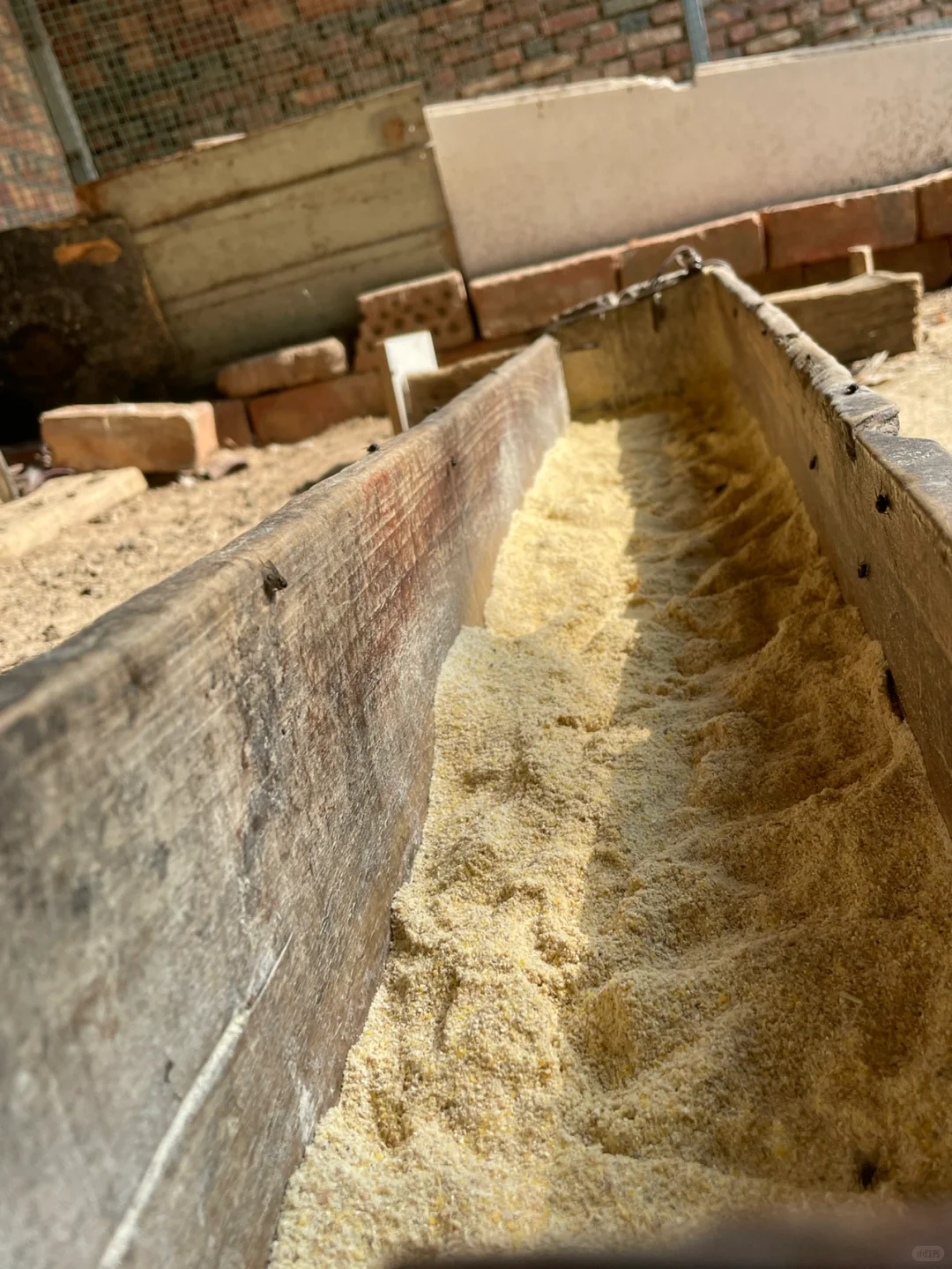 听说公公一只下蛋母鸡卖30元