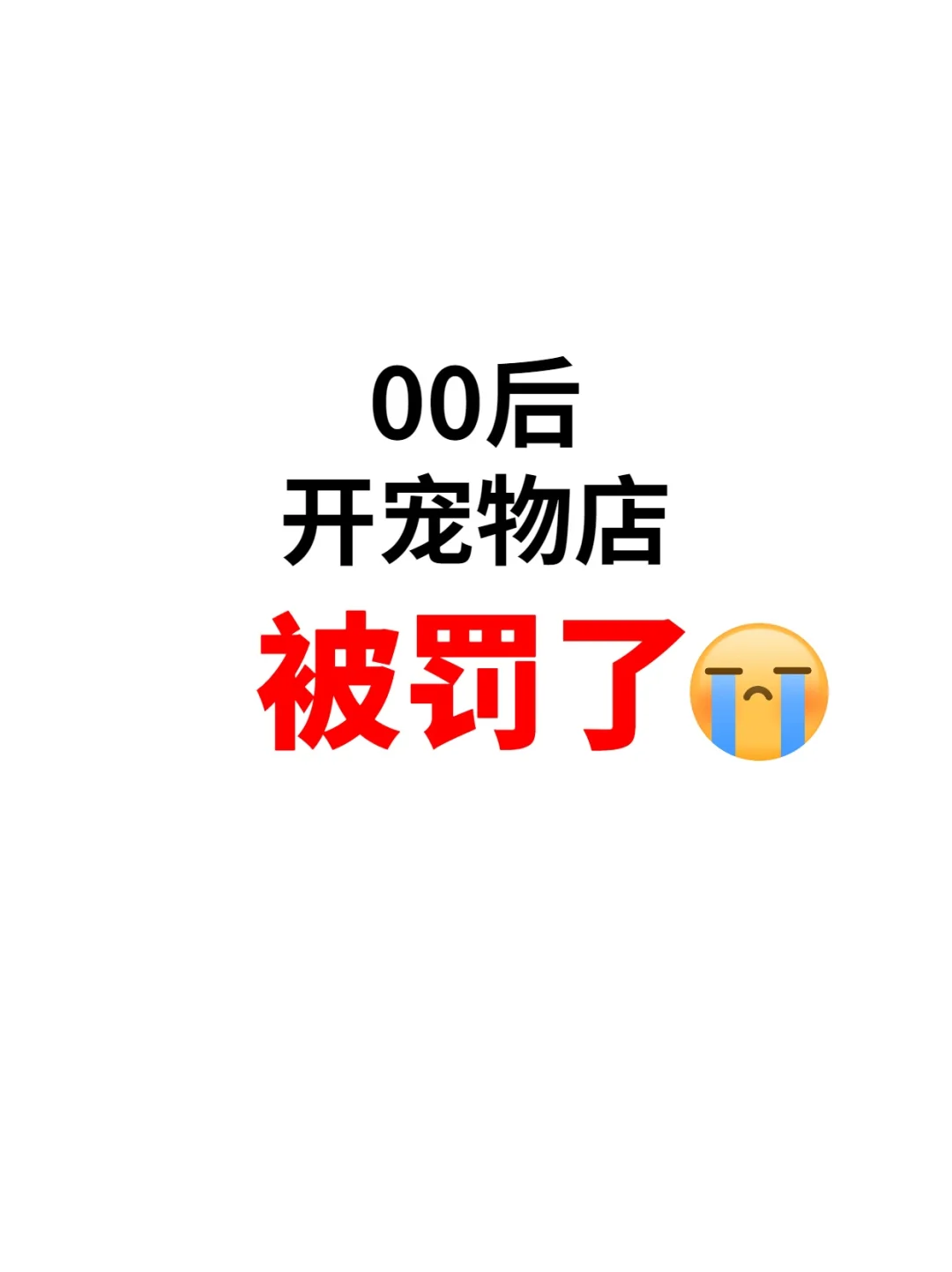 00后开宠物店被罚了???