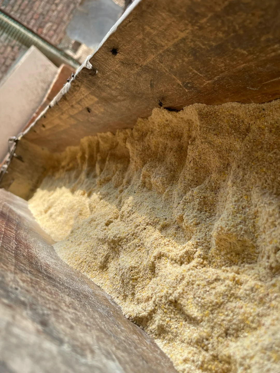 听说公公一只下蛋母鸡卖30元