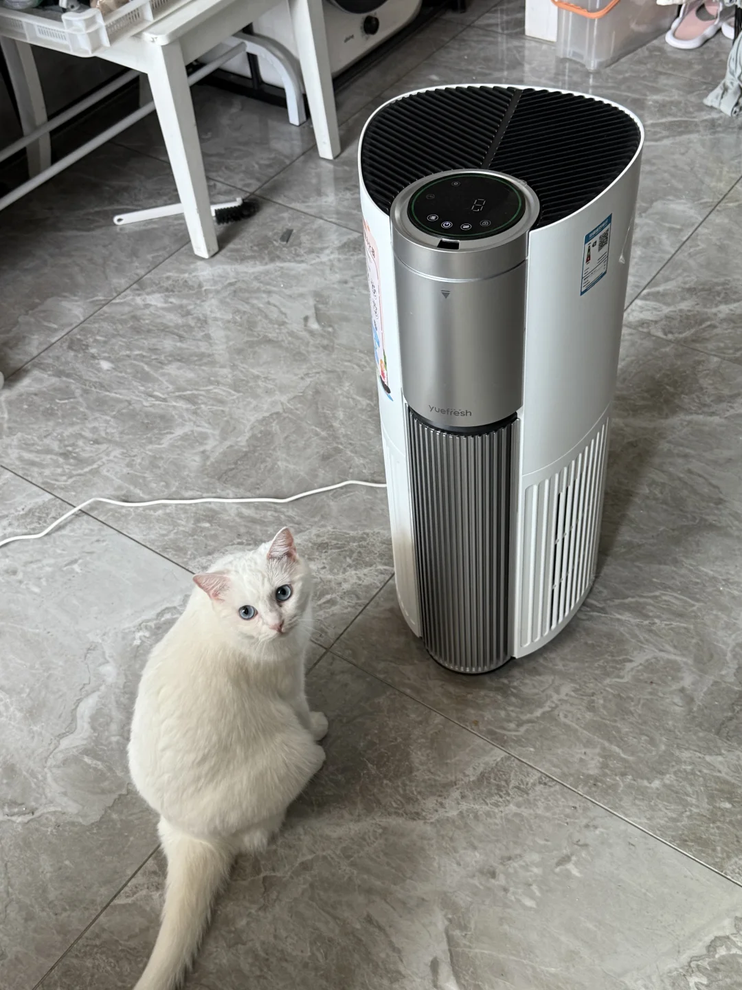 捡了个小羊后,我居然对小羊过敏了!!!