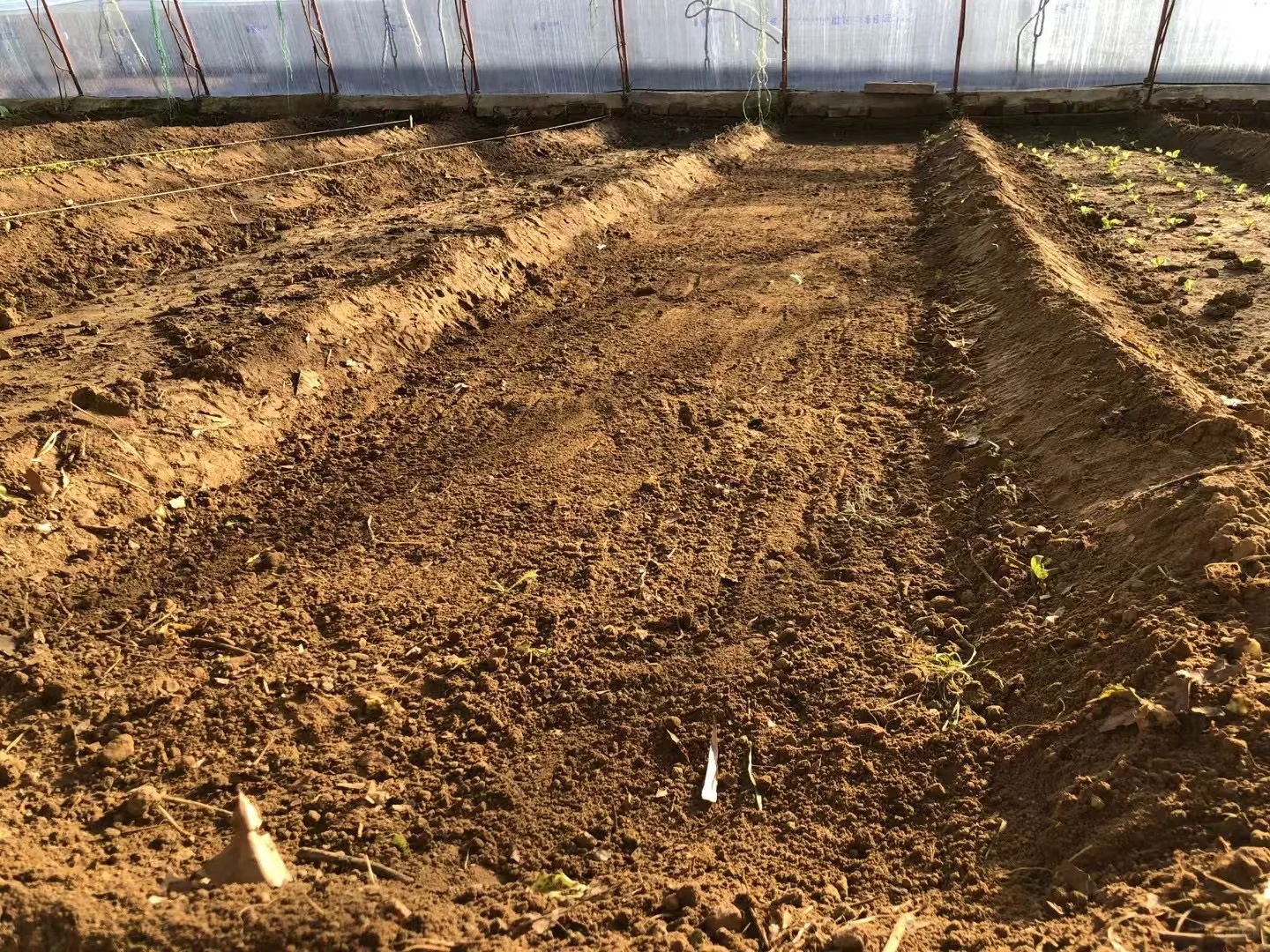 a peaceful farming day ???