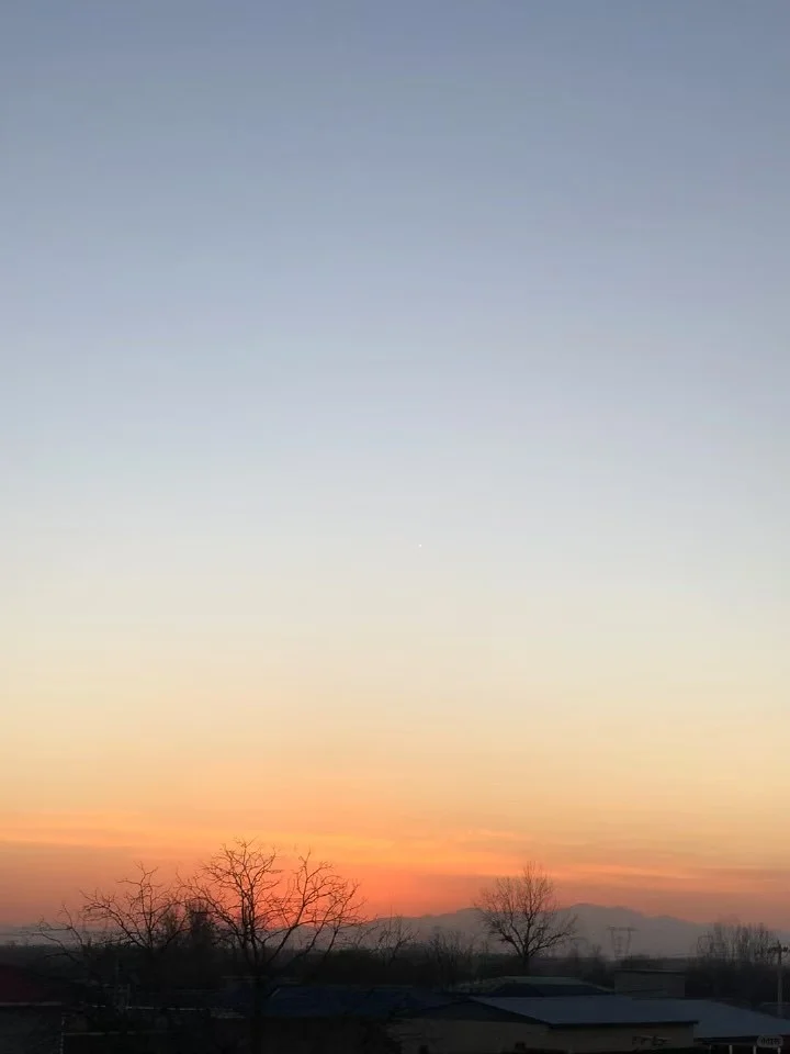 a peaceful farming day ???