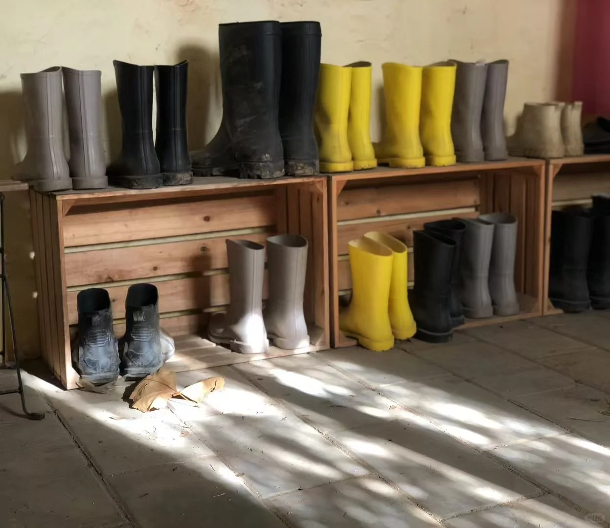 a peaceful farming day ???