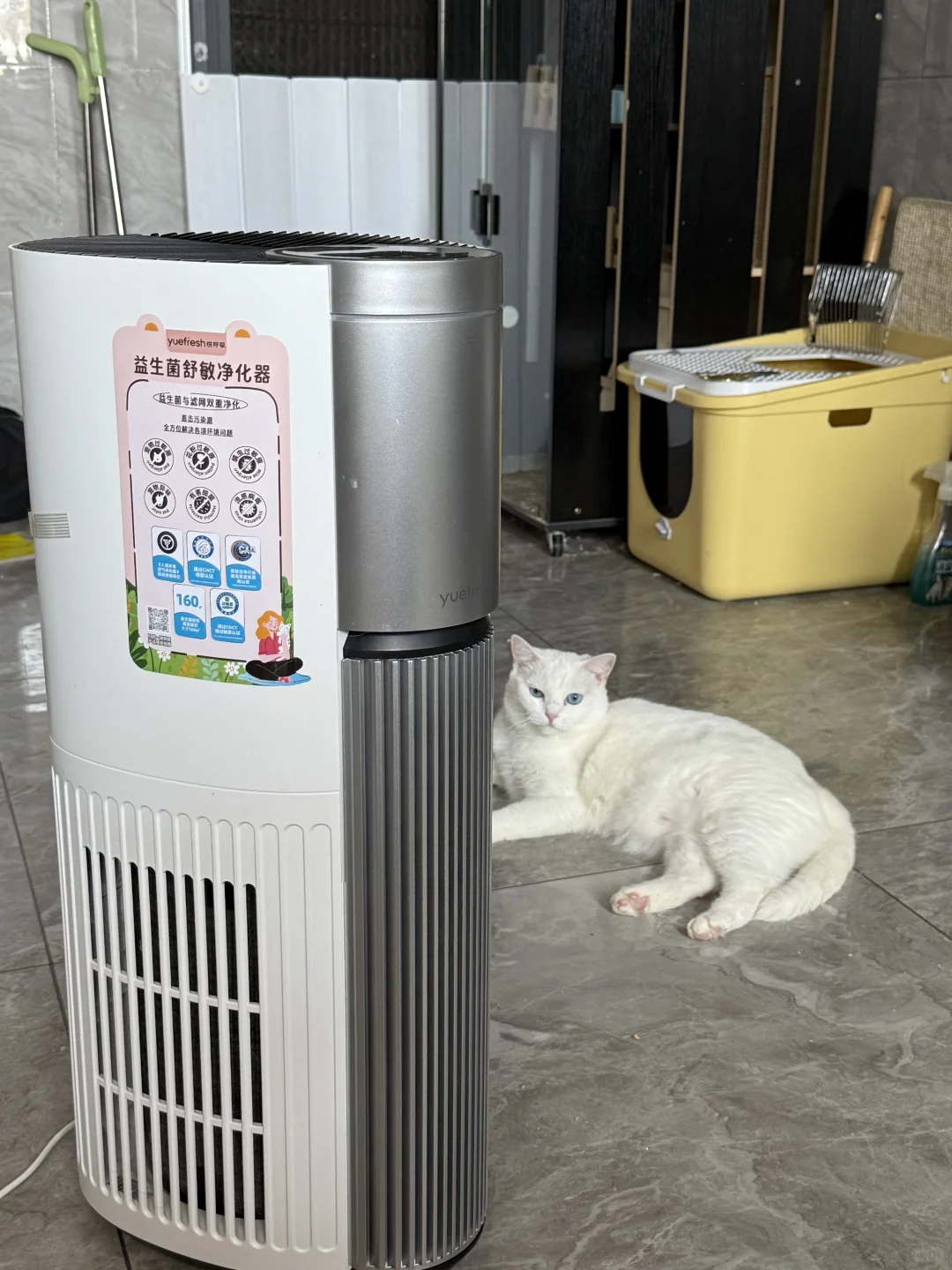 捡了个小羊后,我居然对小羊过敏了!!!