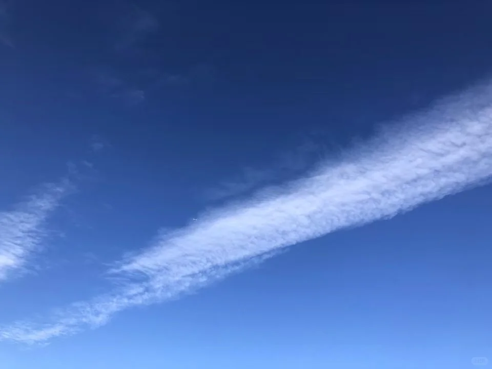 a peaceful farming day ???