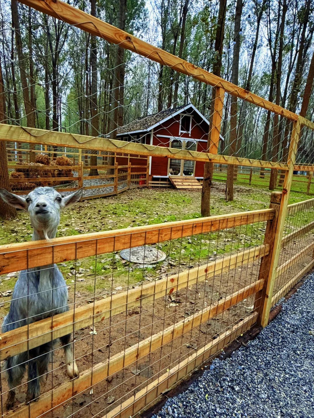 我倒要看看 西安新开科技儿童乐园有多好玩