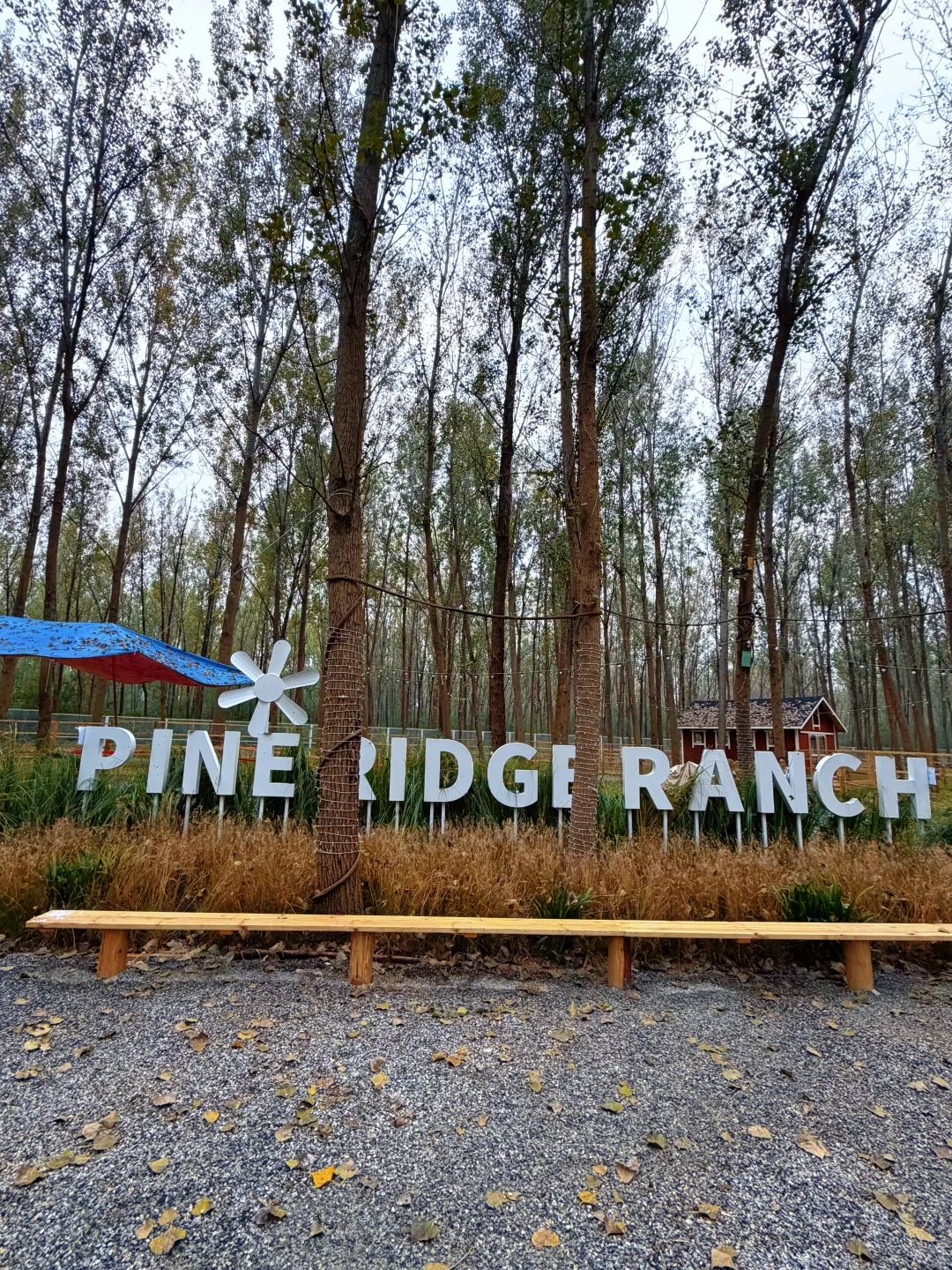 我倒要看看 西安新开科技儿童乐园有多好玩