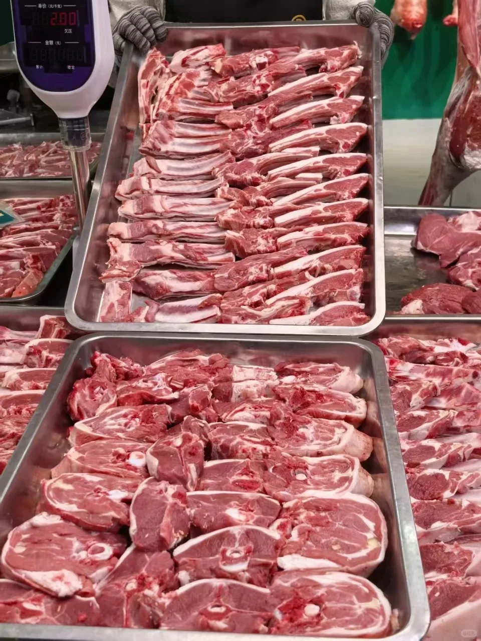 我说盐池滩羊是羊肉天花板,没人反对吧?