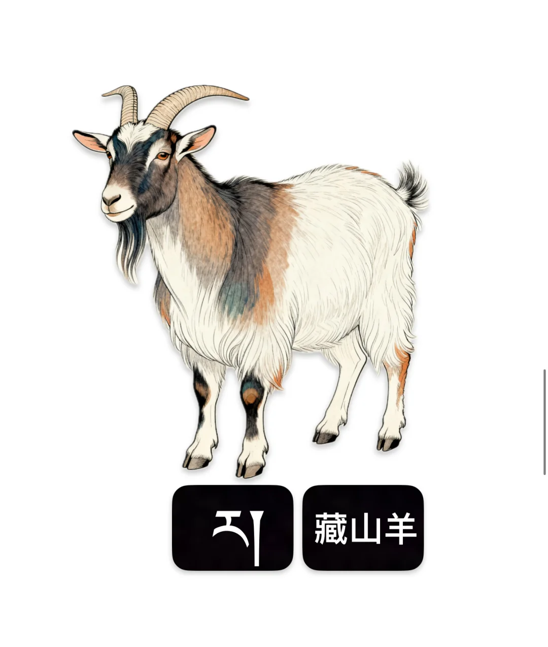 ?????????????????????????????????