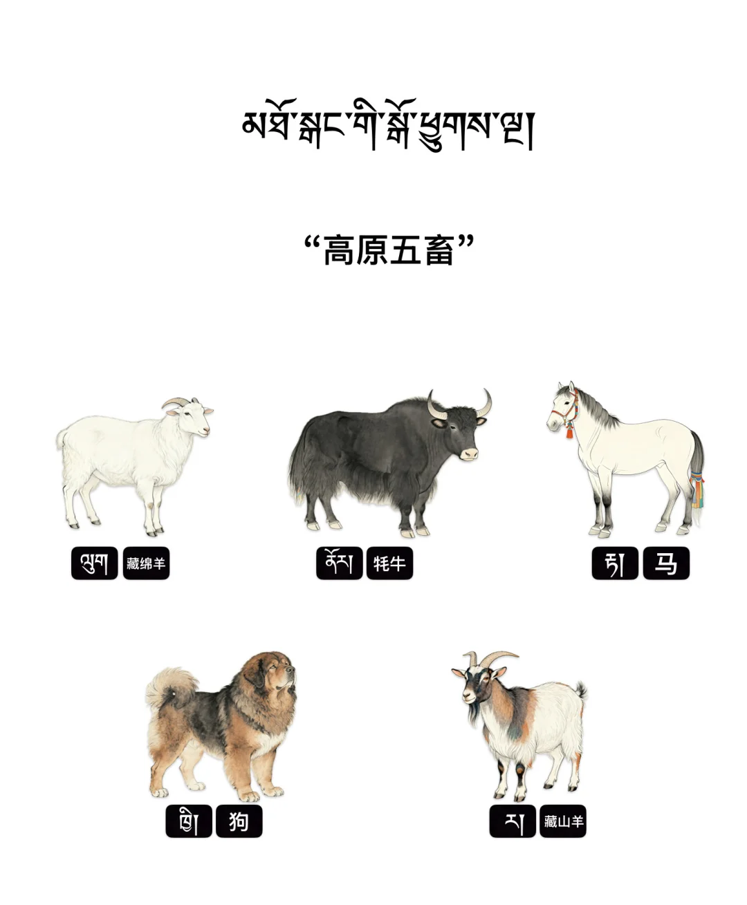 ?????????????????????????????????