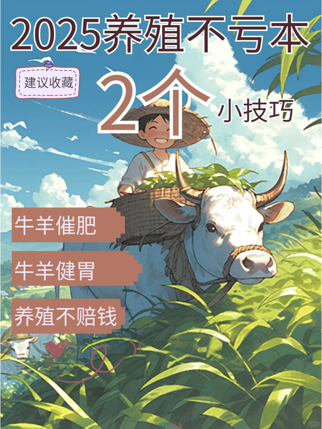 2025��ֳ����Ǯ��2��С�ؼ���