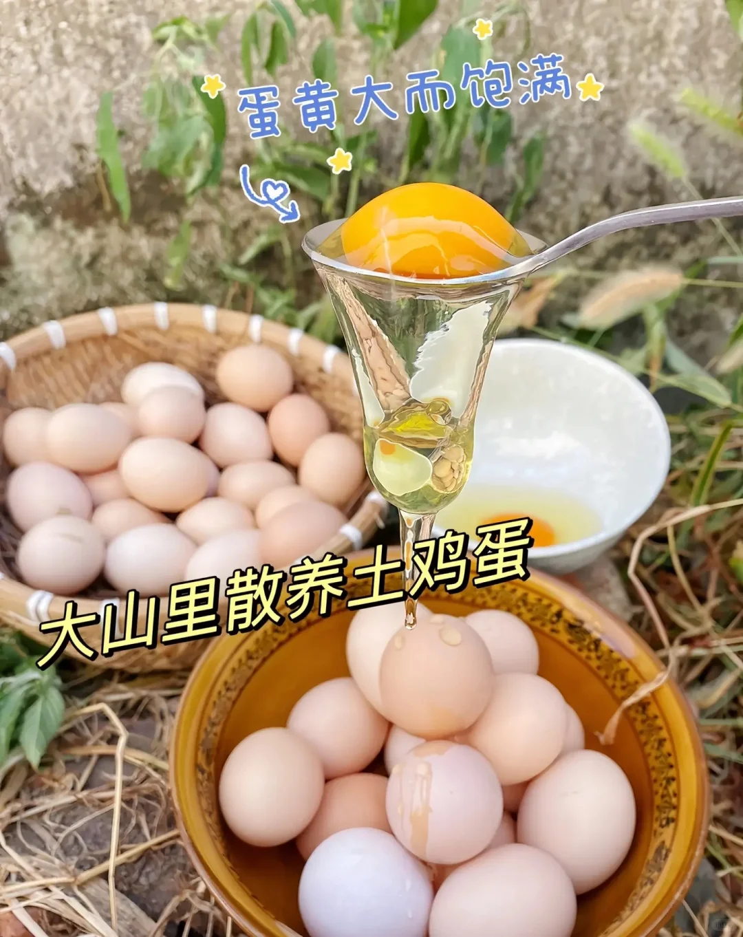 农村散养土鸡蛋1.5我妈让我问问有没人要