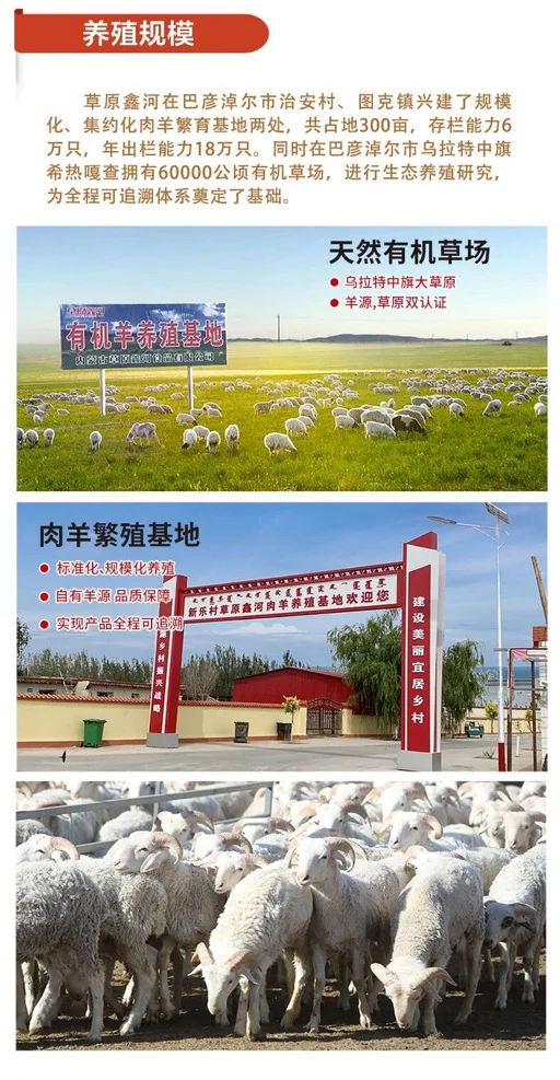 强背书 + 硬实力,这家羊肉企业太靠谱啦?