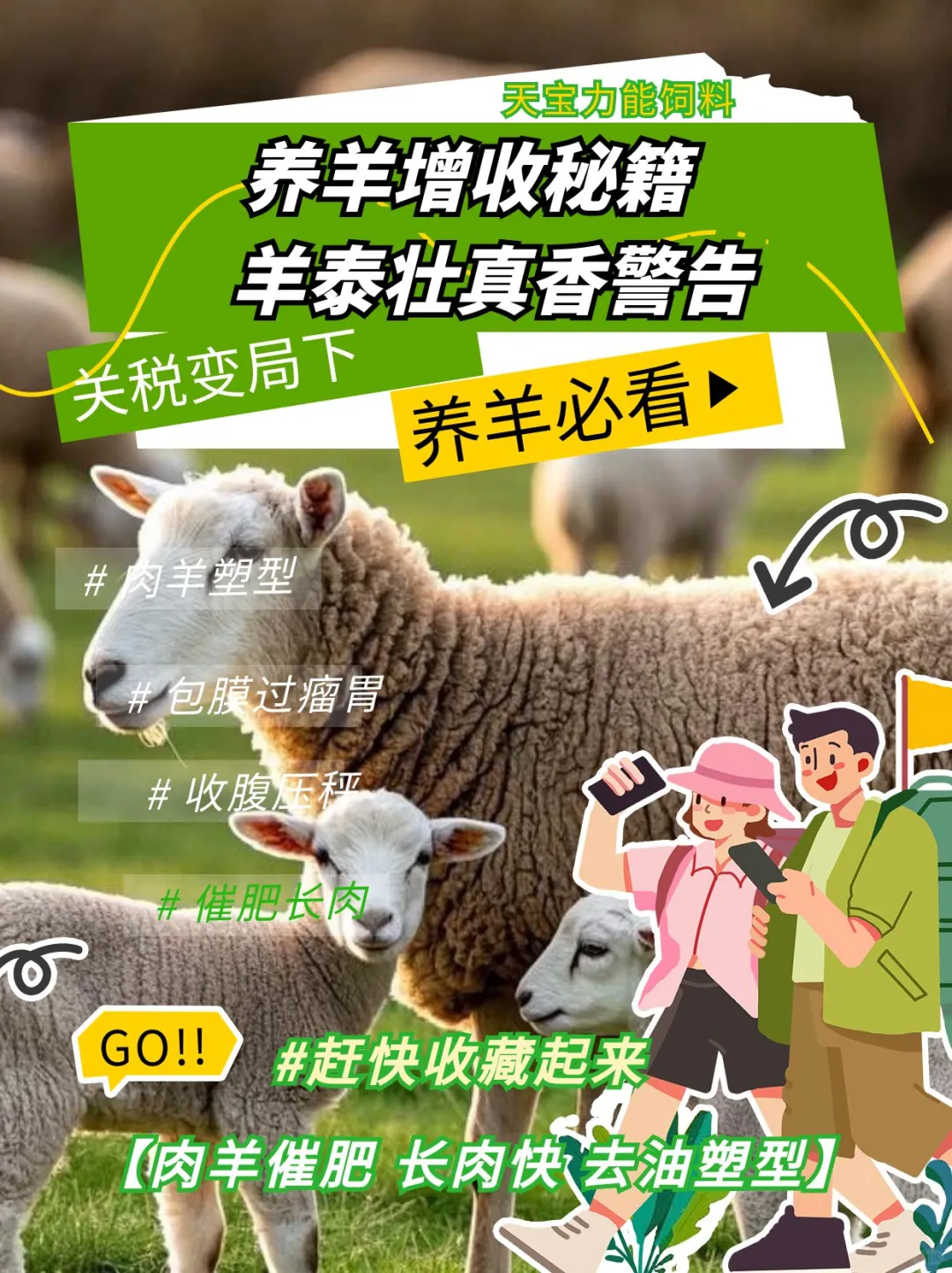 ���������ؼ� | ��̩׳���㾯��