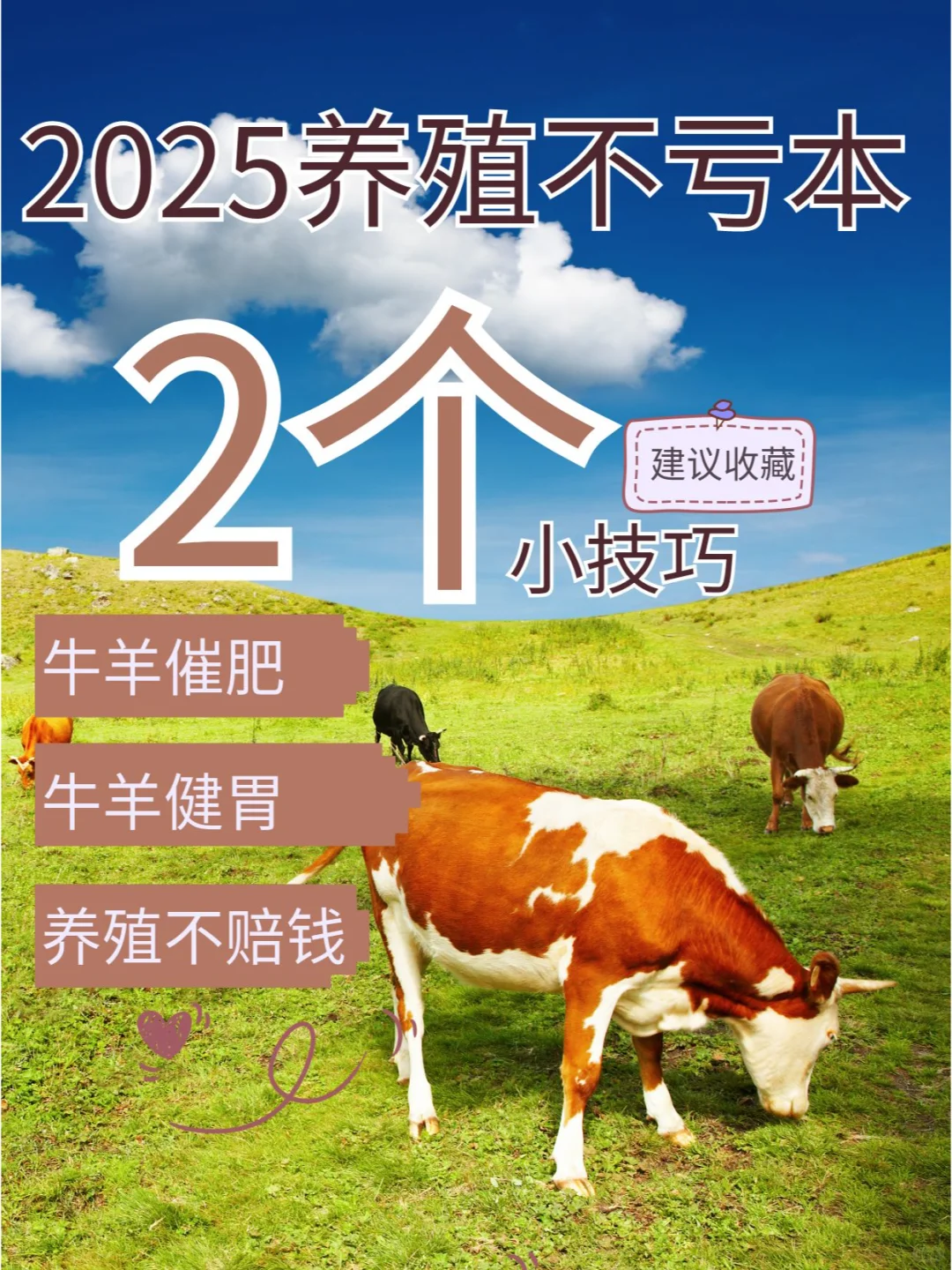 ?2025��ֳ�ر�-ţ��߷��ؼ��󹫿�?