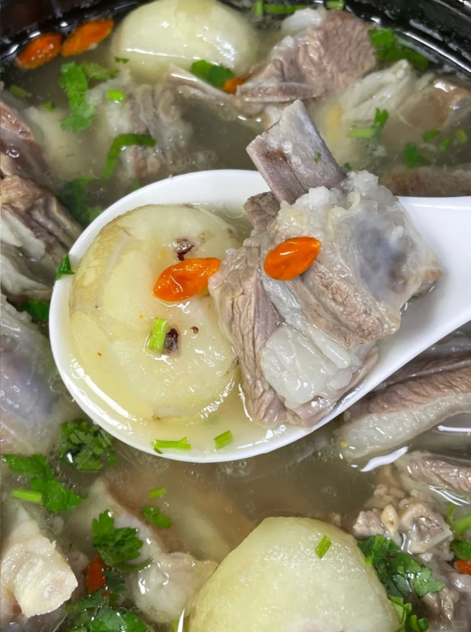 散养羊 vs 育肥羊 | 羊肉真相大揭秘?